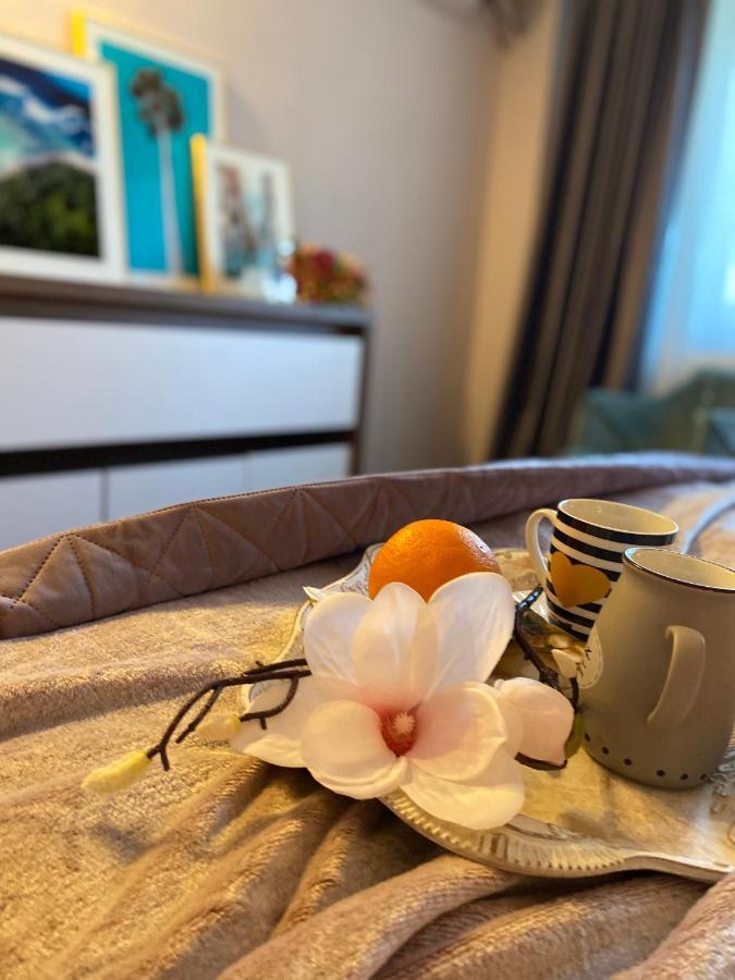 Victoriei Deluxe Suites Βουκουρέστι Εξωτερικό φωτογραφία